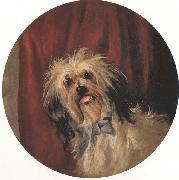 Percy Gray The Artist's Dog (mk42) oil